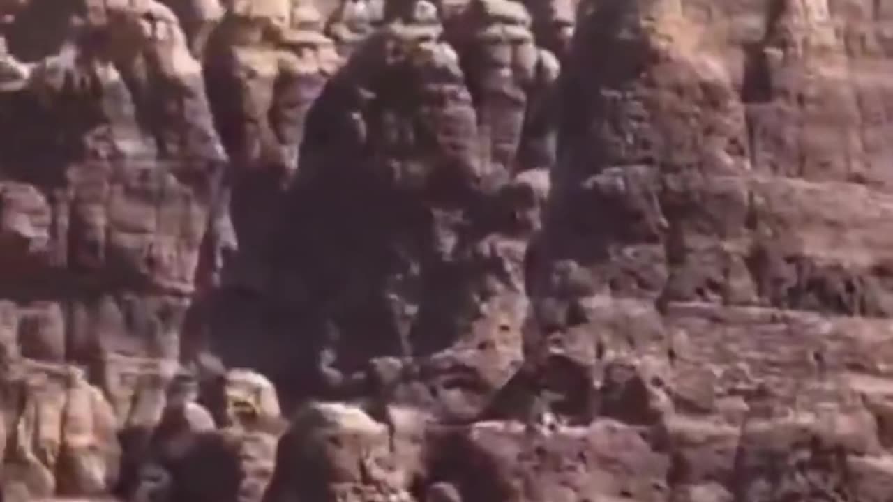 The mud flood
