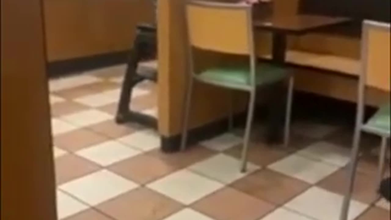 Crazy Meijer Lady (Taco Bell & Garbage Dispute)