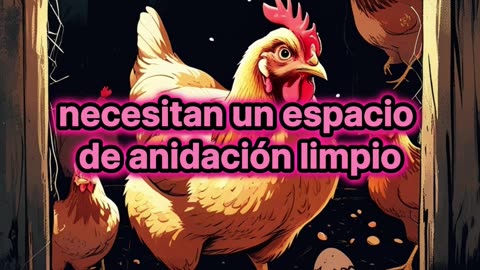 ¿Por Qué Algunas Gallinas Se Comen Sus Propios Huevos?.