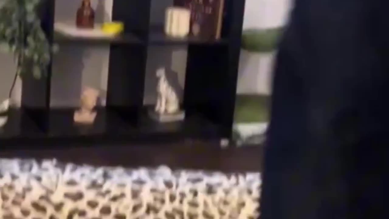 The head shake at the end got me.. 😂