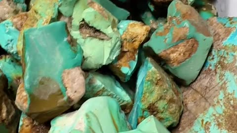 20250802-4 Natural Original Turquoise Rough Contain Green Embryo