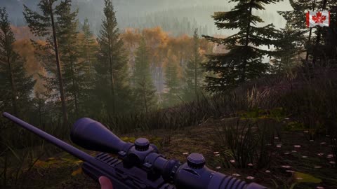 Hunting 2 Simulator Live !