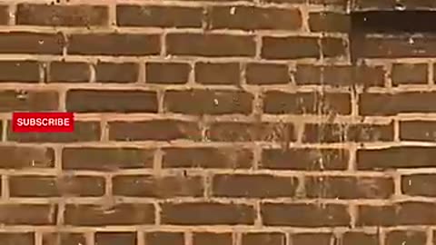 King of Comedy #Chaplin #Shorts #CharlieChaplin.mp4