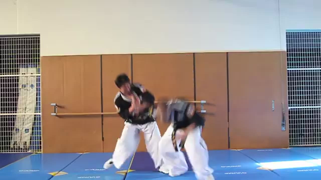 Hapkimudo