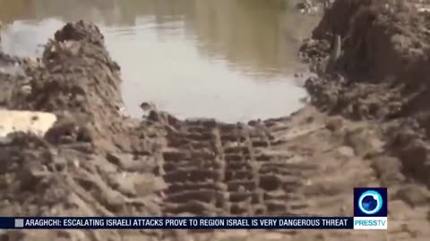 Palestinian farmers struggle as Israel devastates Jenin’s agriculture