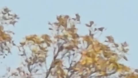 🛸😱 UFO Sighting in Denver! Captured Today at 3:50pm MST | TheTruthAbove