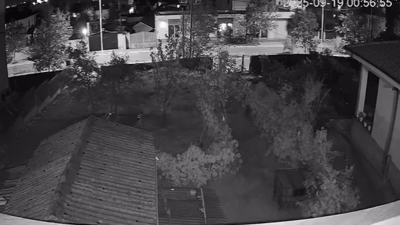 Shperthimi në banesen e Xhelal Mziut