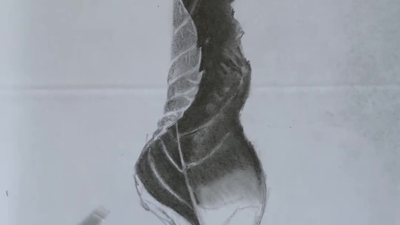 Sketching dry leaf with normal pencil in Timelapse