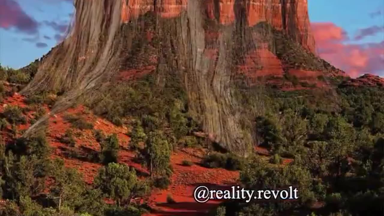 Here we have discussed the idea of many mountains actually being Tree stumps or fallen trees