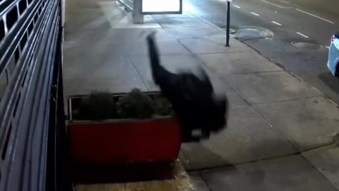 #funnyvideosdaily