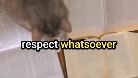 Will a Cat NOT Walk On a Quran To PROVE It's From God?