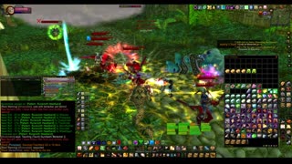 Turtle Wow - PUG ZG run - paladin POV
