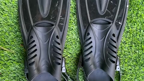 Which Shoes Will Protect Your Feet The Most?