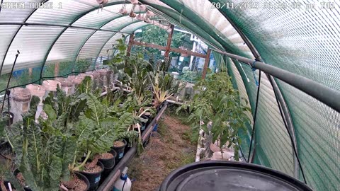 Greenhouse 1 Timeplapse Ending 22-12-2025