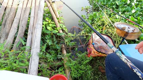 Trout Treasures Why Anglers Love The