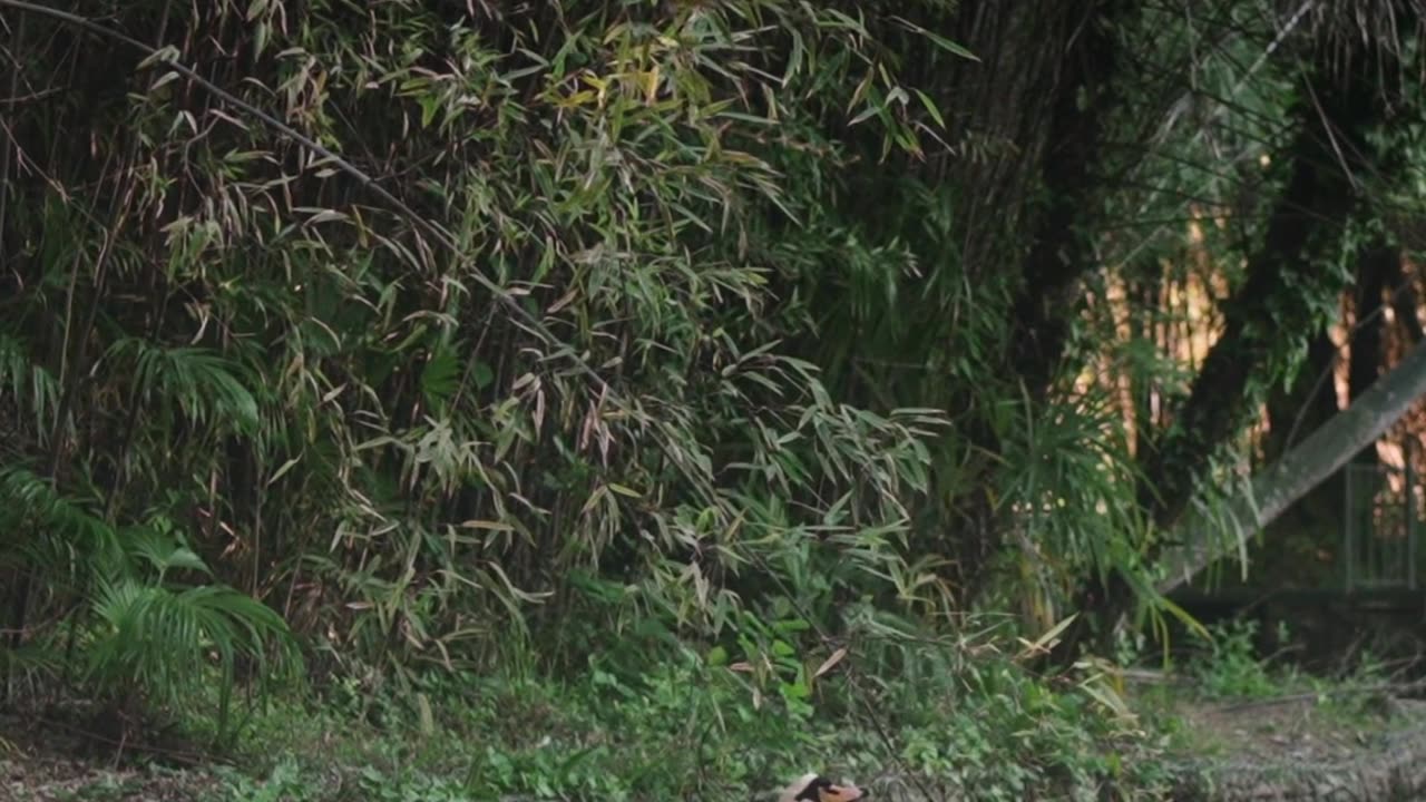 Only the Now Moment Matters