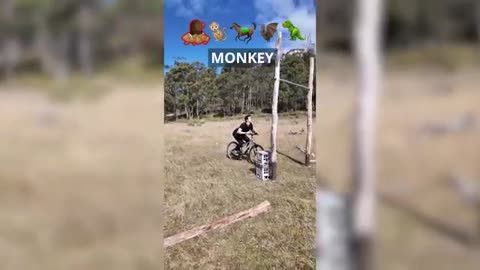 How animals ride bicycles
