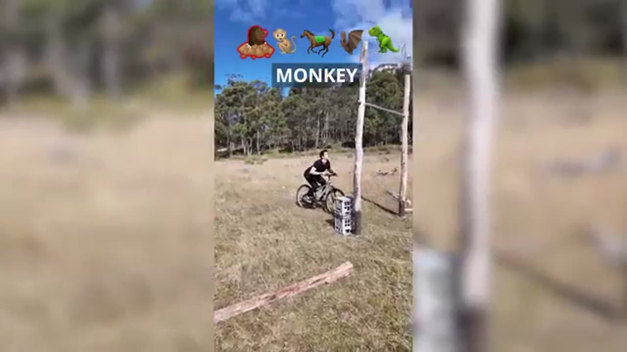 How animals ride bicycles