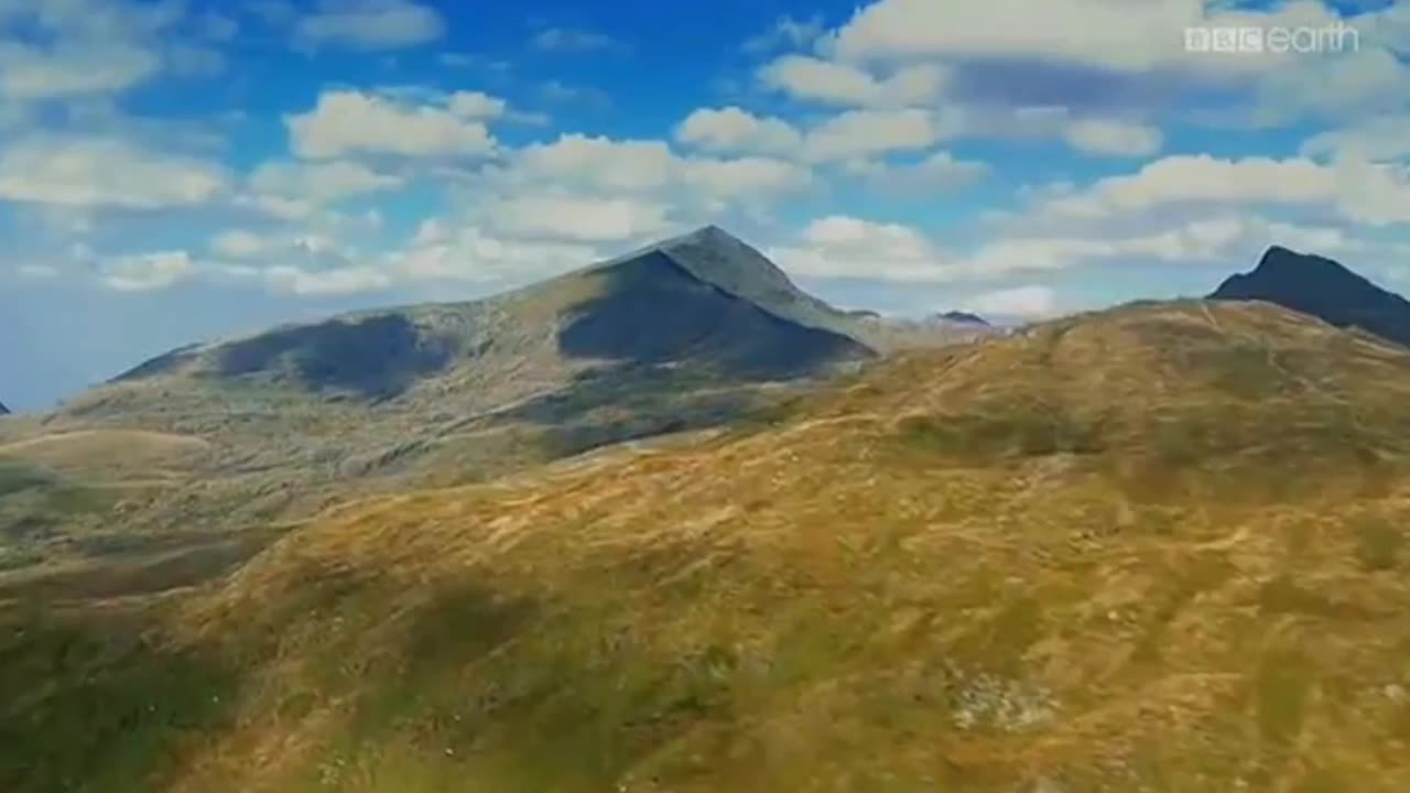 BEAR GRYLLS ZDOBYWA WYSPY 1 dokument pl