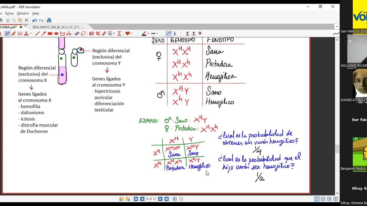 VONEX SEMESTRAL 2024 | Semana 11 | Biología