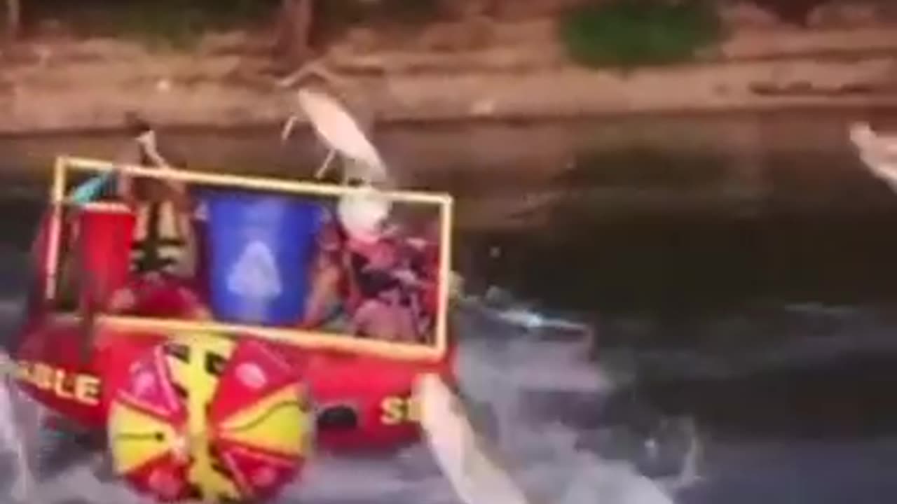 When you home-school and Dad is in charge