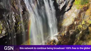 Genesis Science Network