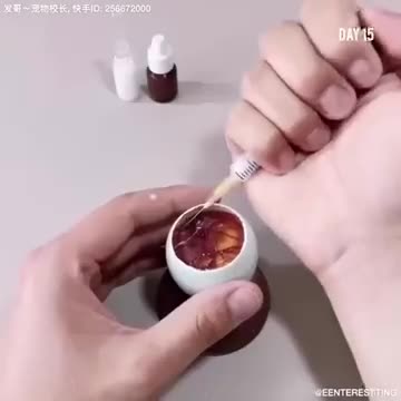 How A Chick Born From A Egg 🐣 - Interesting Video - 😱