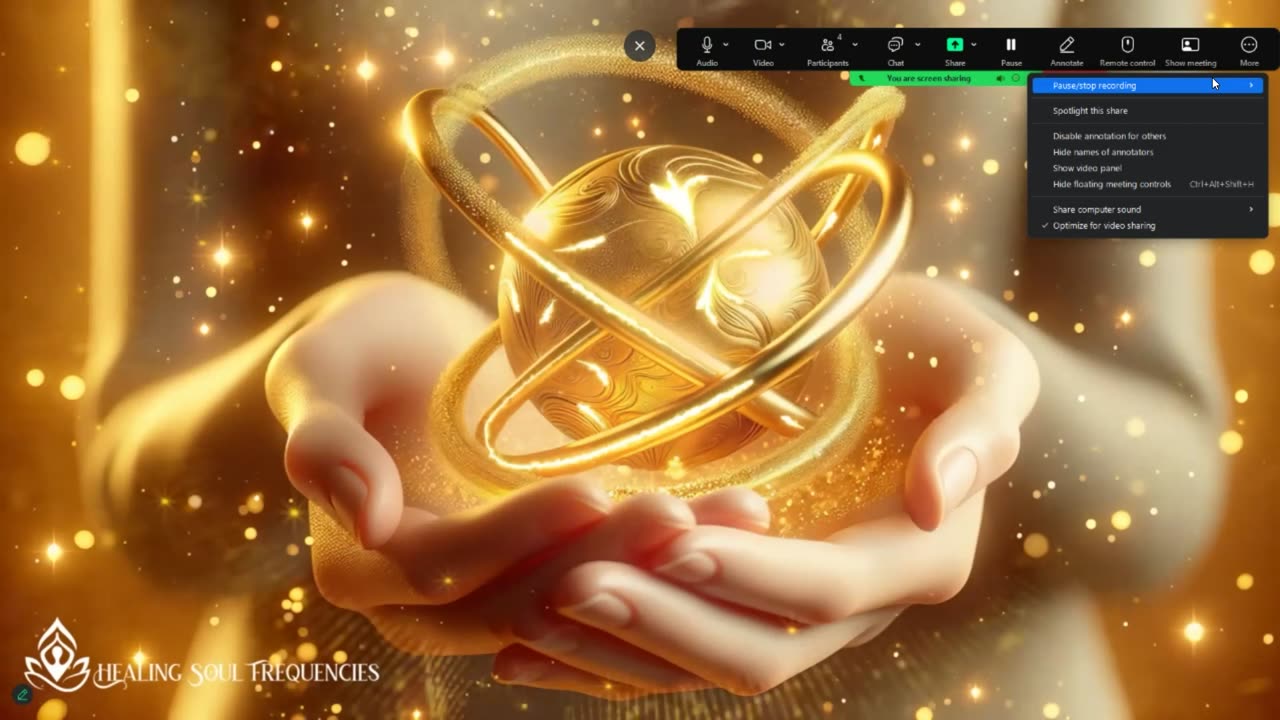 Light Practitioners World Wide Network Public Offering August 2, 2025