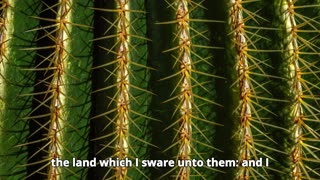 Deuteronomy Chapter 31