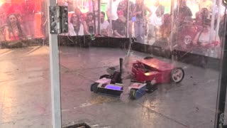 BBB BEVs Bristol 2025: Pallas & Mind The Gap Vs Times 400 Crab & Captain Kathrine Chainway