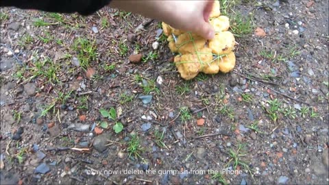IPHONE 6 CHICKEN McNUGGETS CASE - Drop Test 100ft