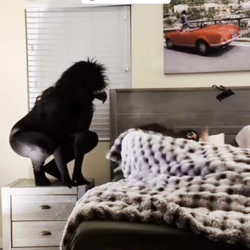 Funny prank 😂😂😂 she was lucky #funny #viralvideo #shorts