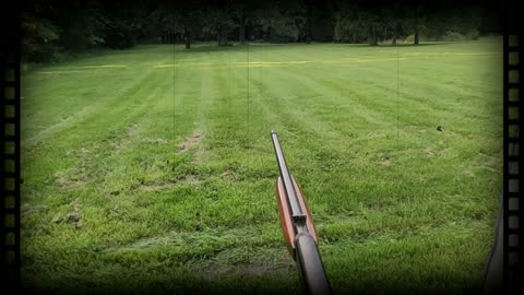 Shooting a Browning SA-22 Clone 22LR