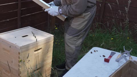 Basic Beehive inspection 23July2025