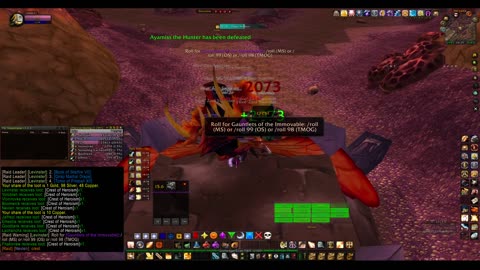 Turtle Wow - PUG AQ20 - Paladin POV - no commentary