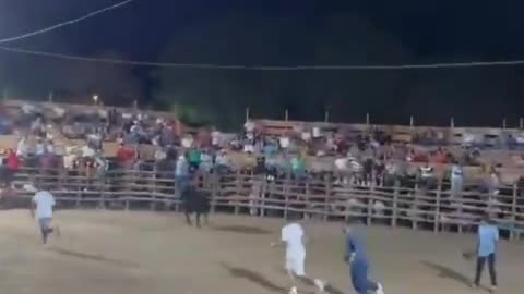 Horn Got Wet