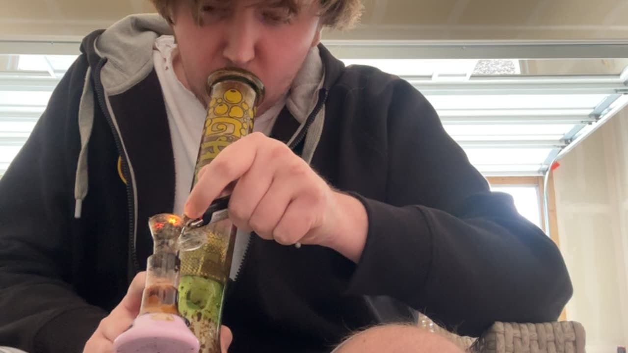 Day 347 pt3 Gorillas