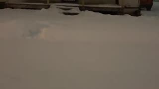 2022-1-27 Brisk walk in Akron