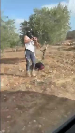 Israeli settlers continue to VIOLENTLY assault Palestinians in the West Bank