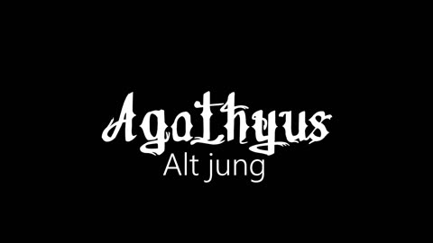 Agathyus ¦ Alt jung (offizielles audio)