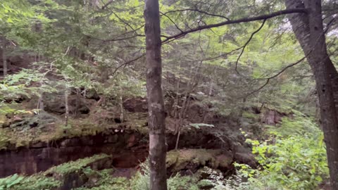 White Mountains - The Flume Gorge
