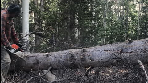 Mountain Roadblock Removed