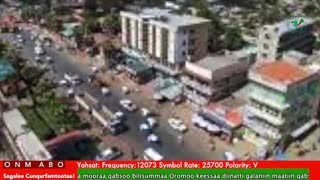 Oduu Galgala ONM-ABO Waxaabajjii 1-2025 itti dhiyaadhaa!