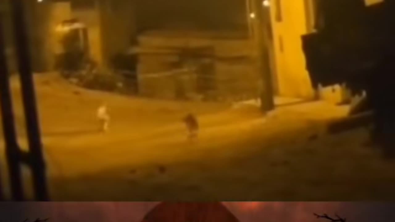 🐶😨 Dog Levitates! What Kind of Paranormal Force is This? | TheHauntingHour