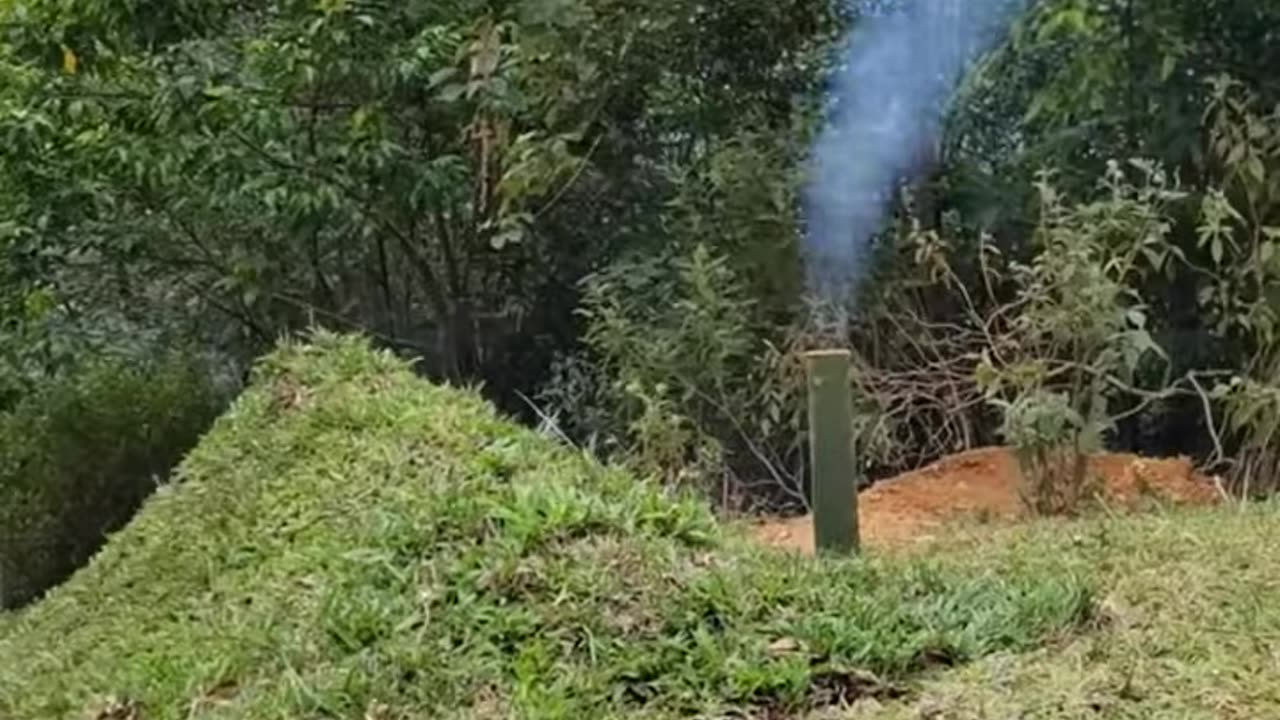 Alone in the dangers of the forest