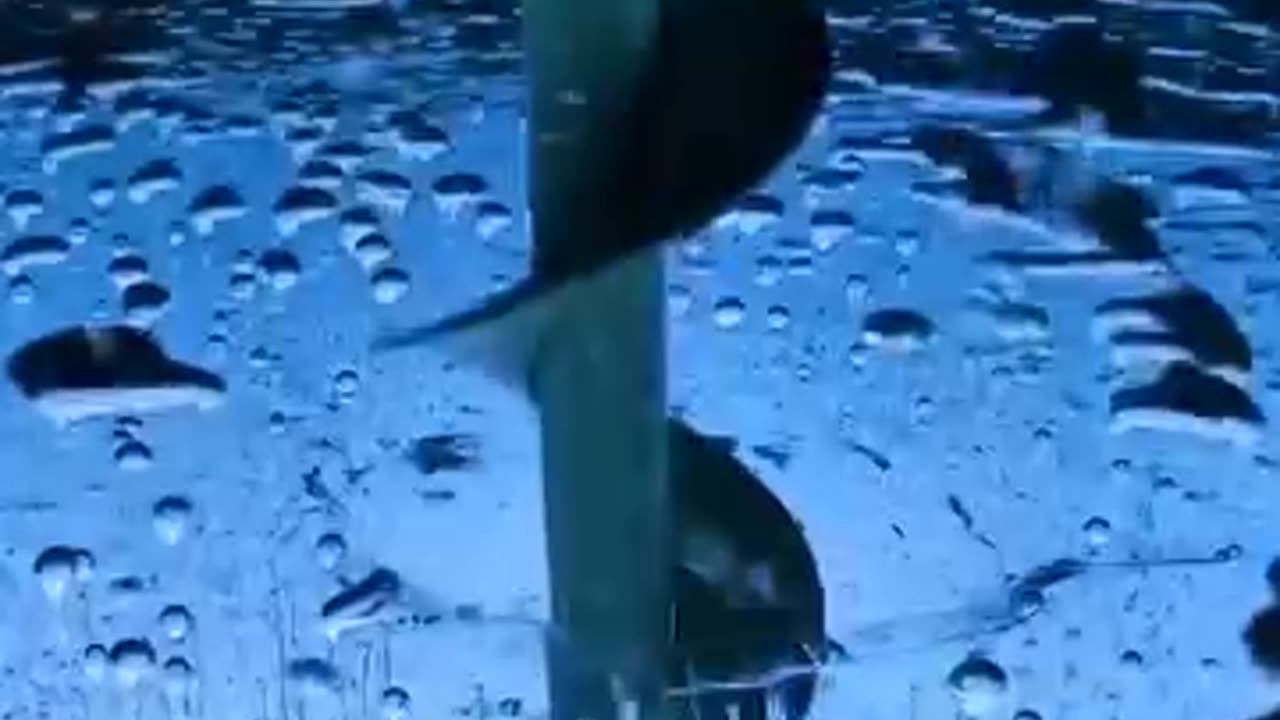 Scientest Discover Bottom at The Sea