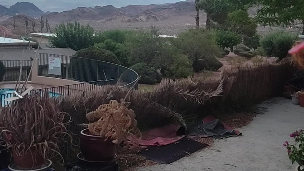 Blessed Southwestern Desert Rain. Feels like a storm is coming.