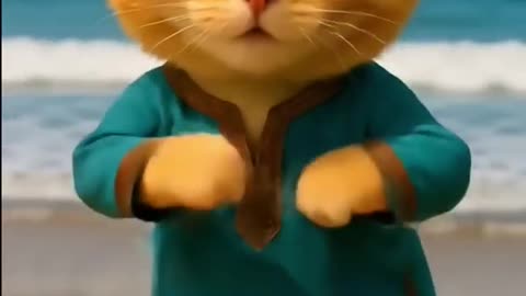 Cute & funny cat dance