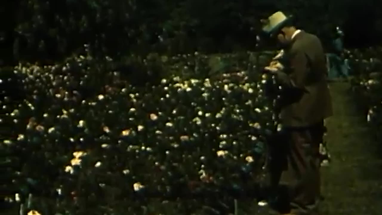 Southern U.S. Reel, 1930s