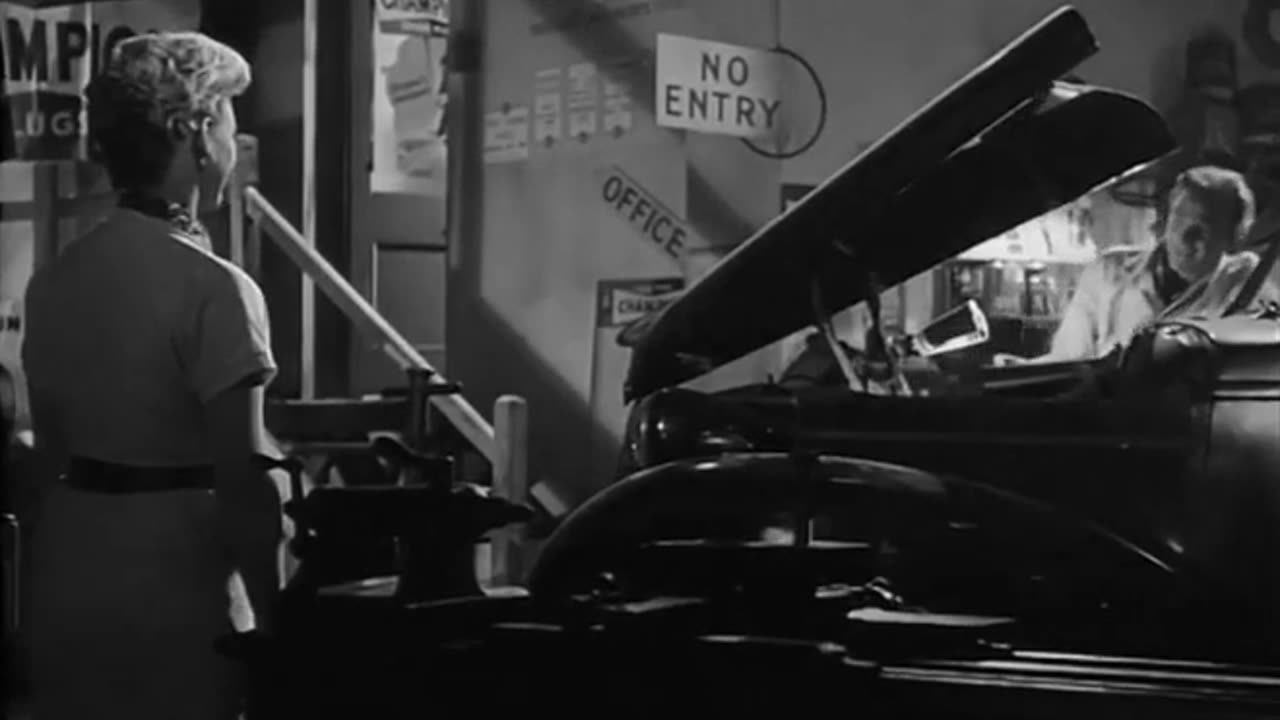 Stock Car 1955